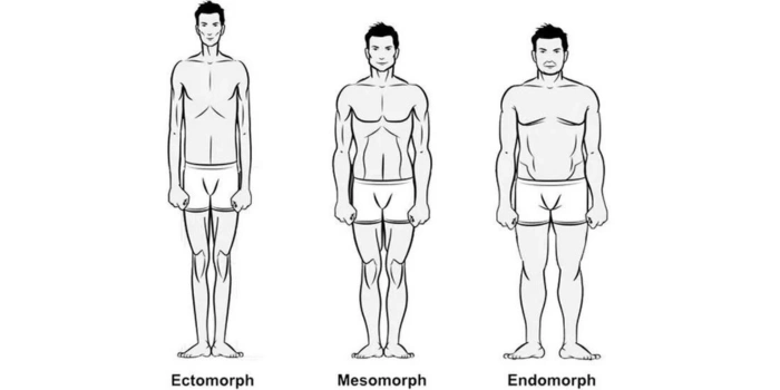 What are ectomorph Soccer Players?