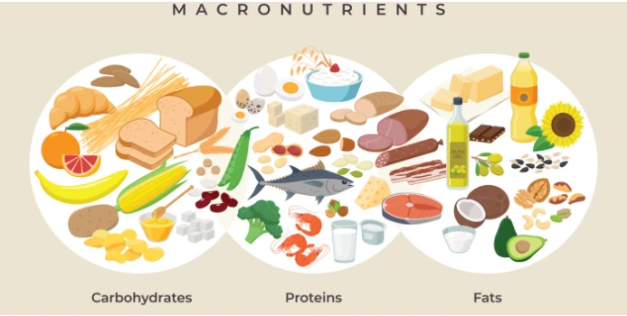 Macronutrients for soccer players.